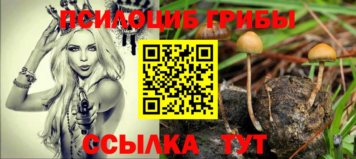 Псилоцибиновые грибы MAGIC MUSHROOMS  что такое   Вход с VPN  Ступино  Галлюциногенные грибы мицелий 